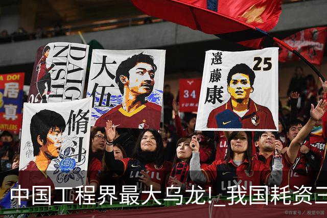 中国工程界最大乌龙! 我国耗资三亿修建发电厂, 10年后竟便宜给了羊
